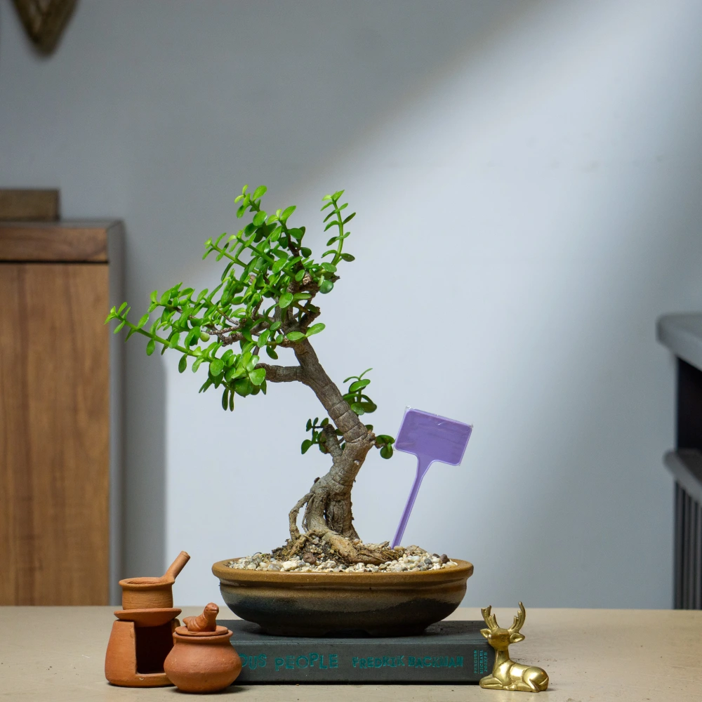 product-gallery