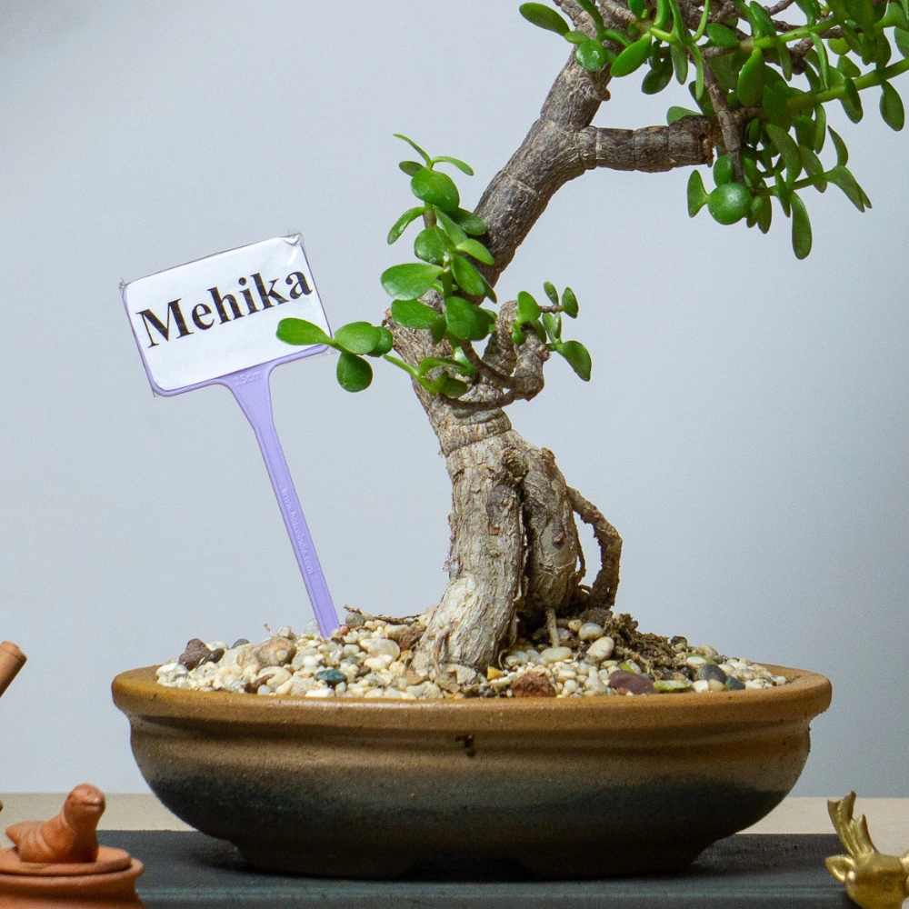 product-gallery