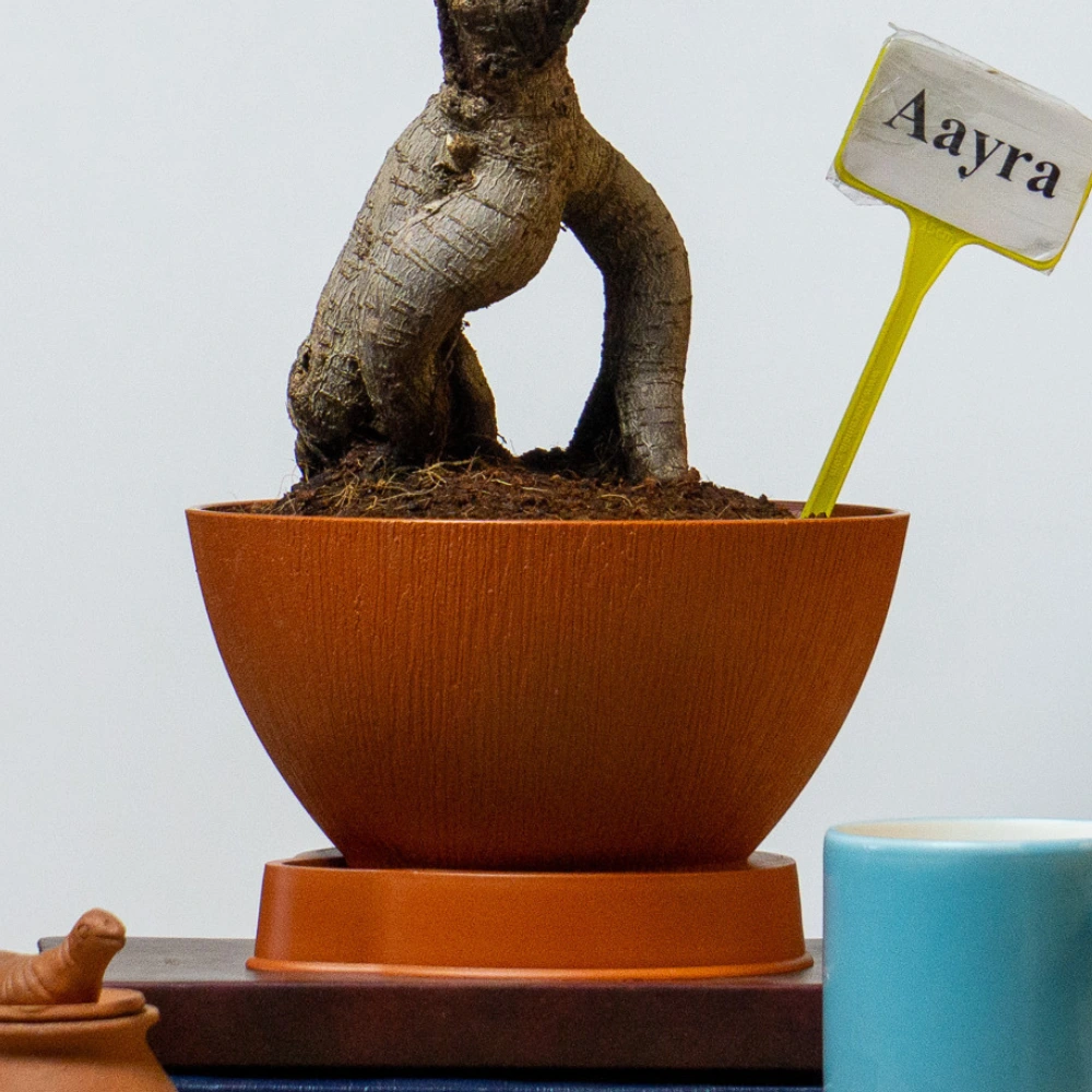 product-gallery