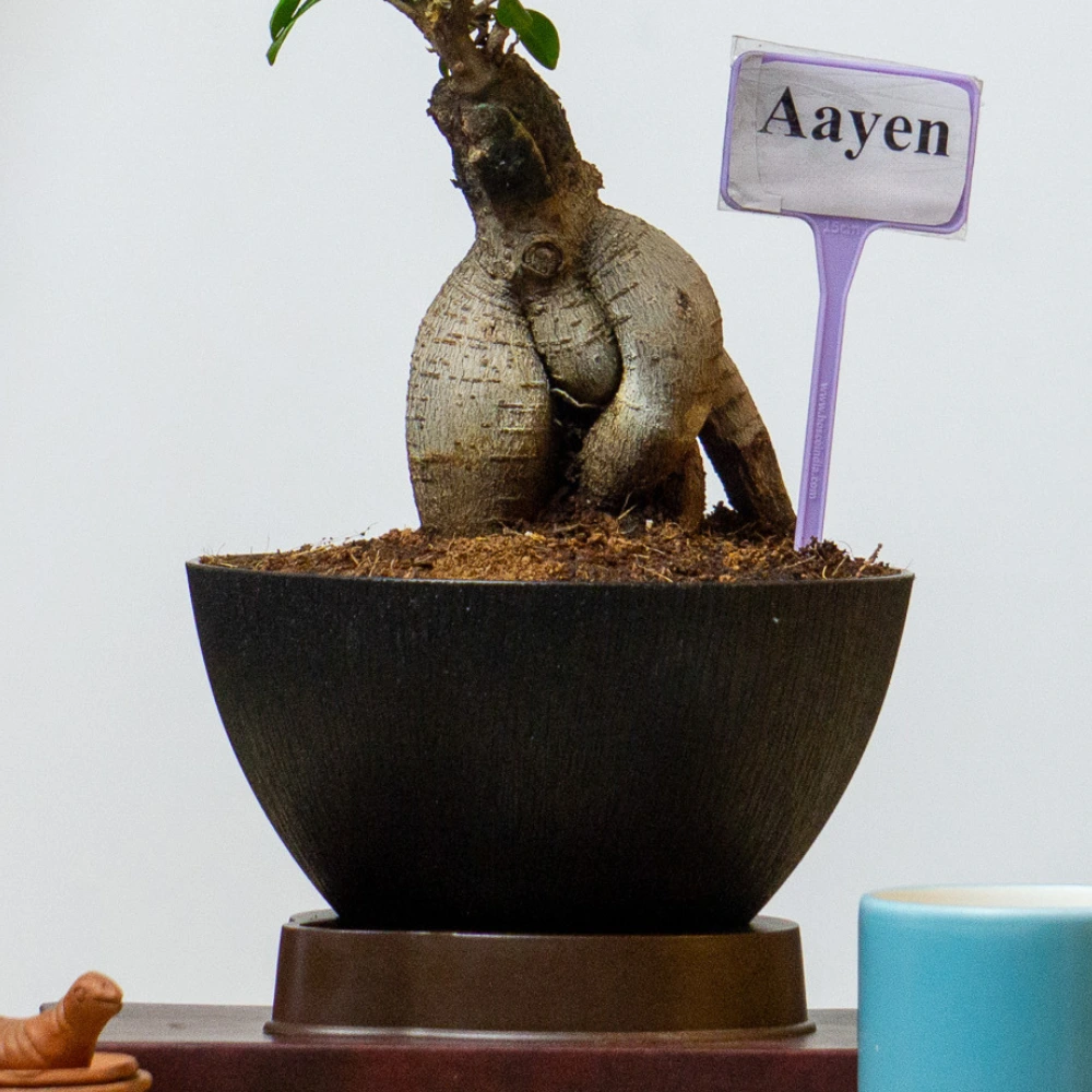 product-gallery