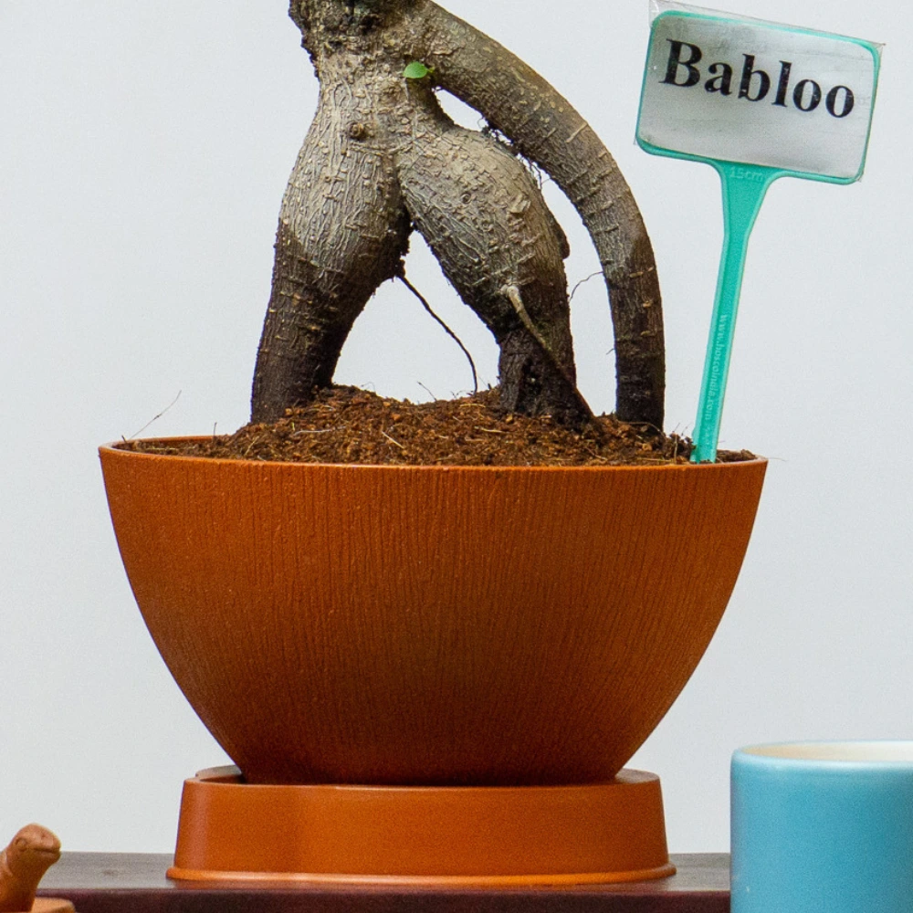 product-gallery