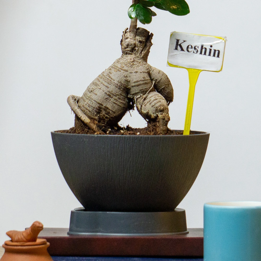 product-gallery