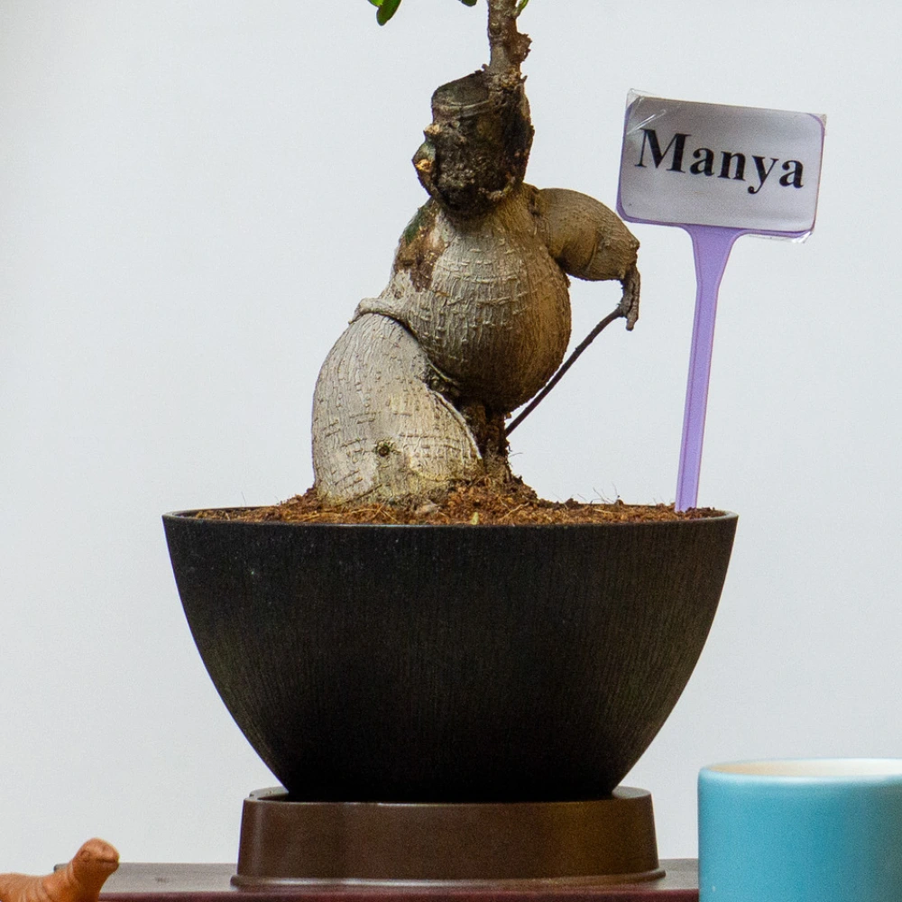 product-gallery