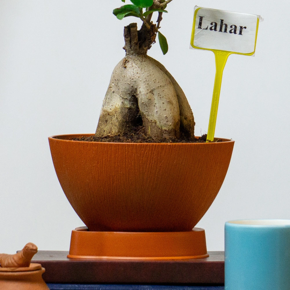 product-gallery