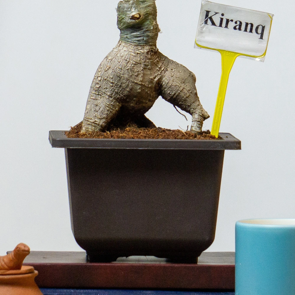 product-gallery