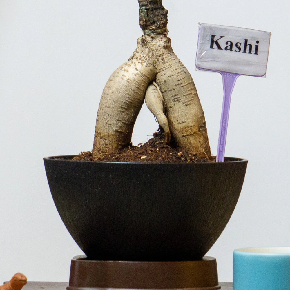 product-gallery