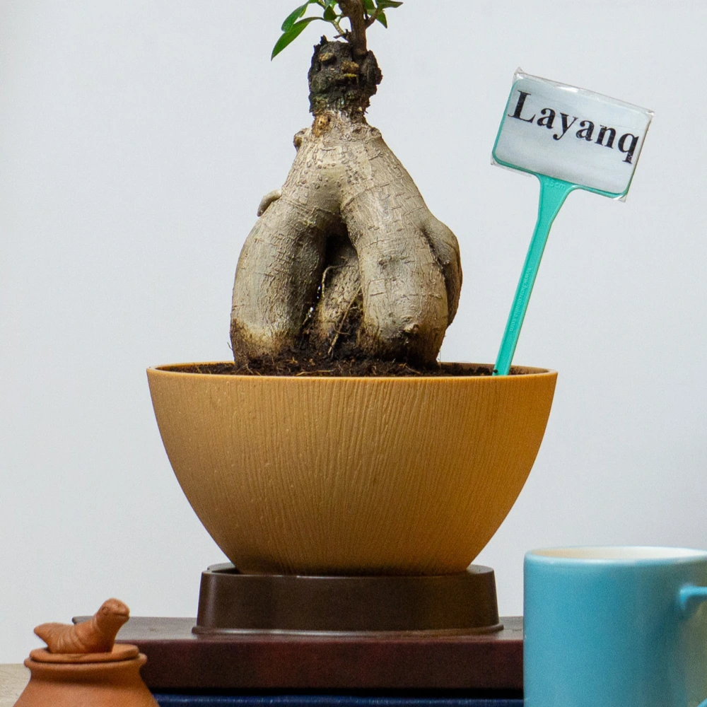 product-gallery