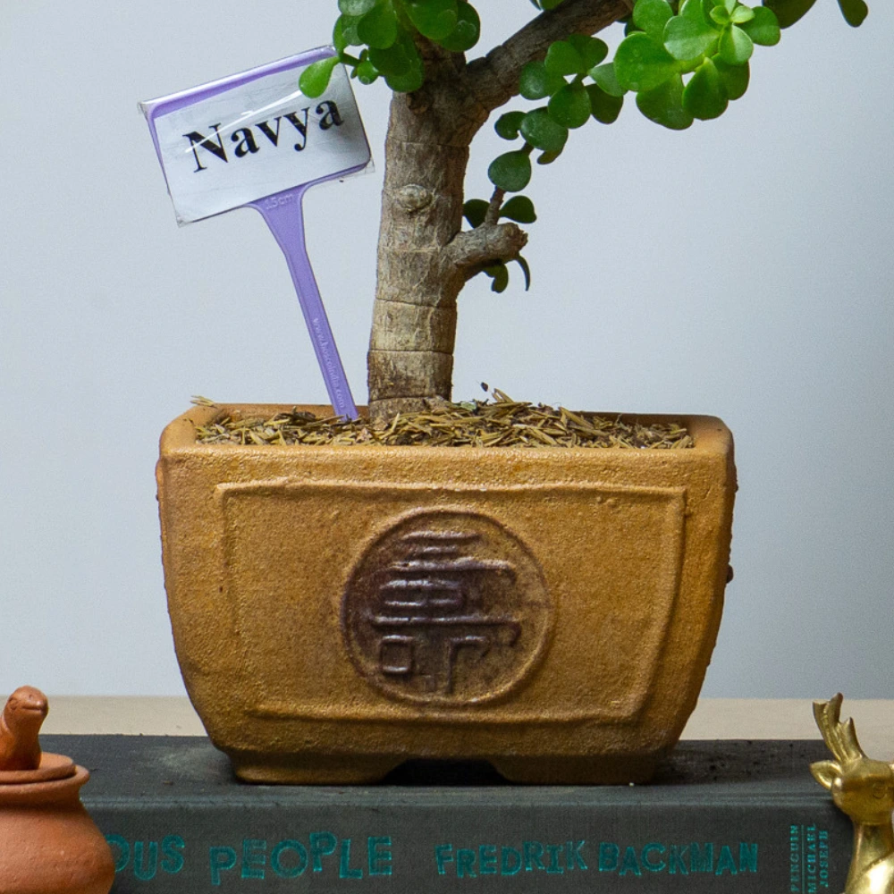 product-gallery