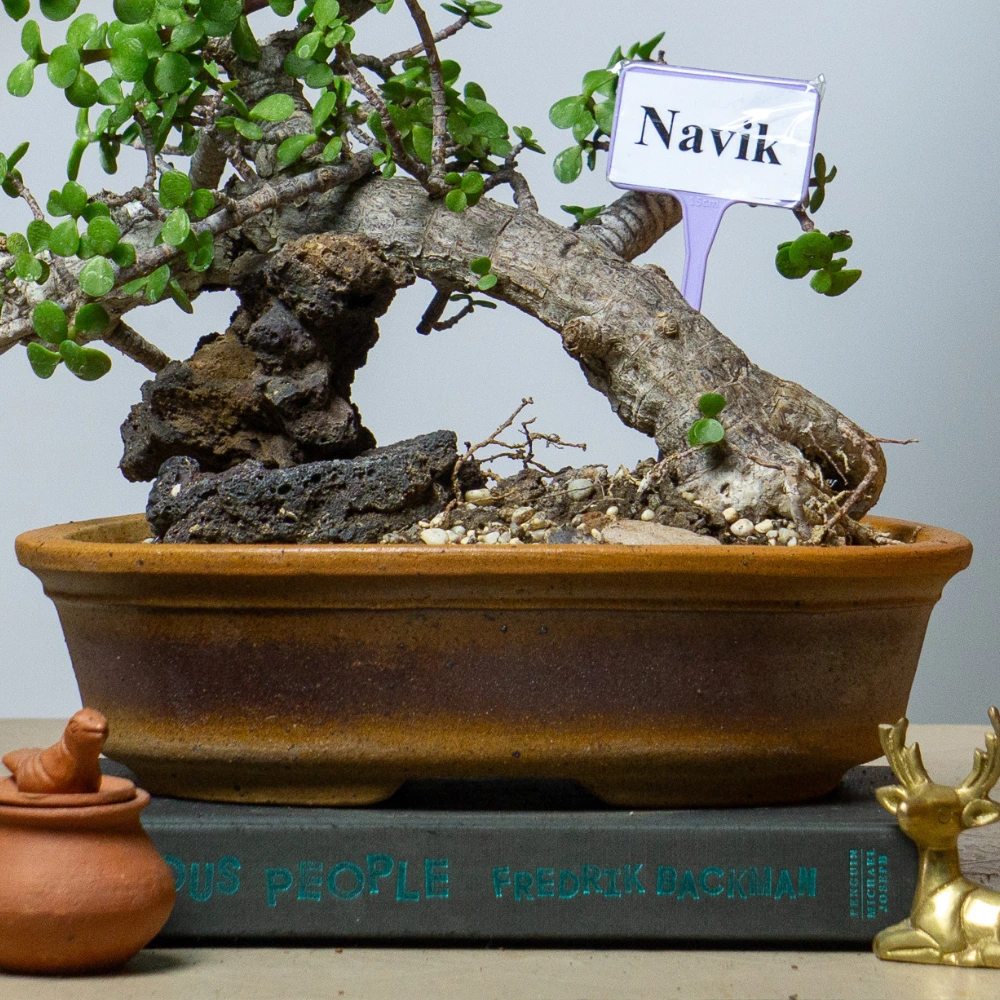 product-gallery
