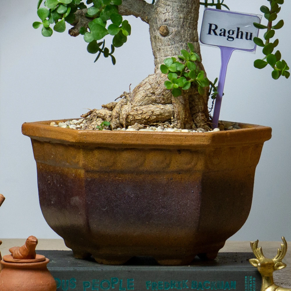 product-gallery