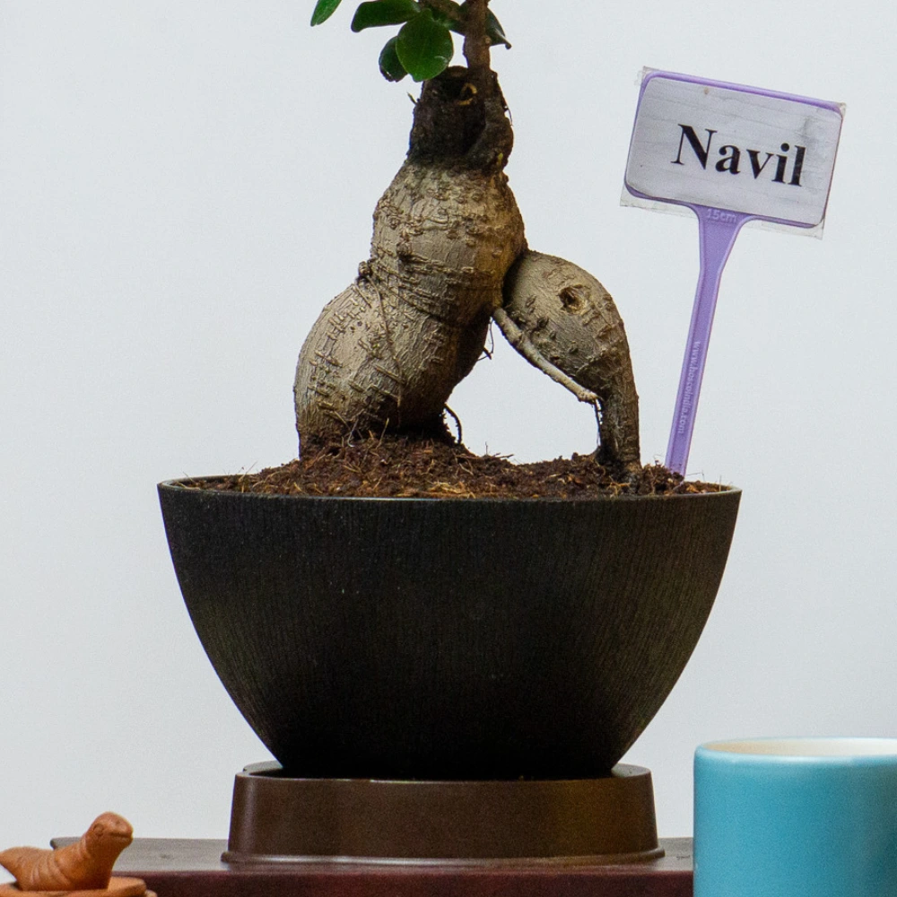 product-gallery