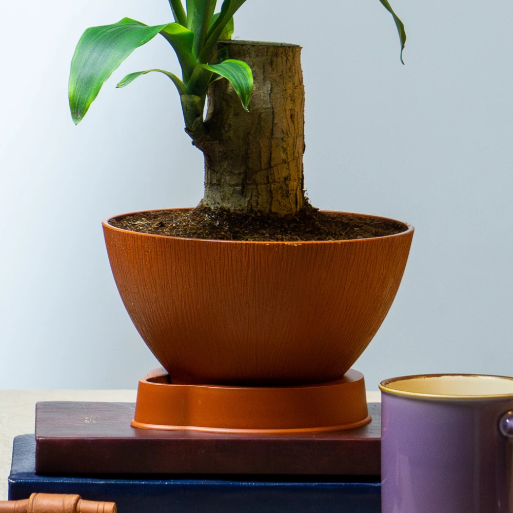 product-gallery
