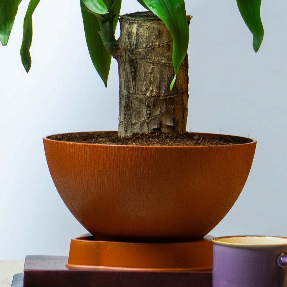 product-gallery