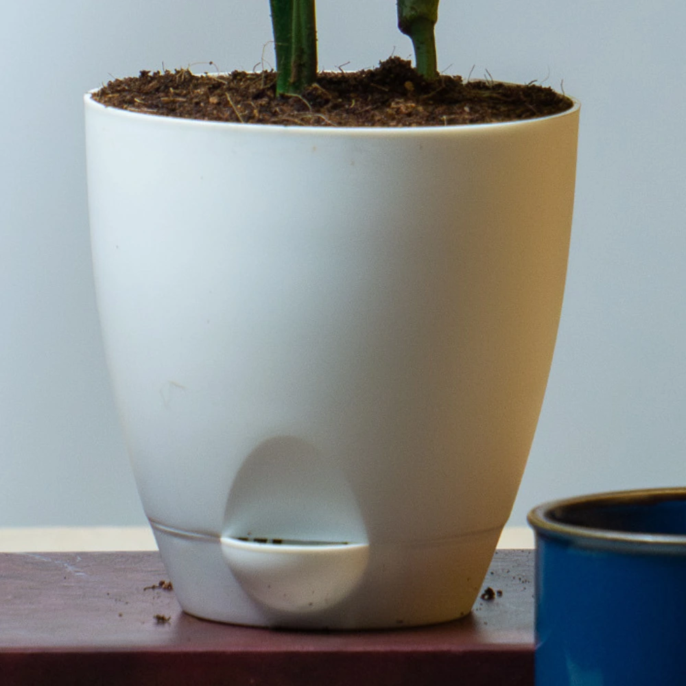 product-gallery