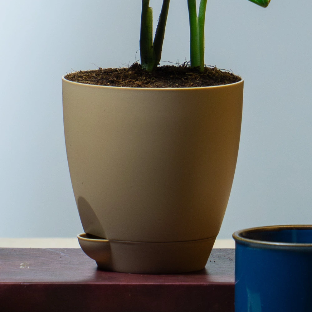 product-gallery