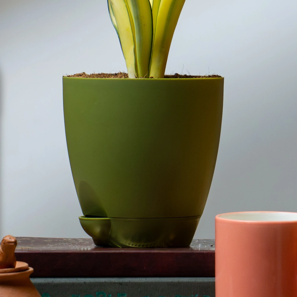 product-gallery
