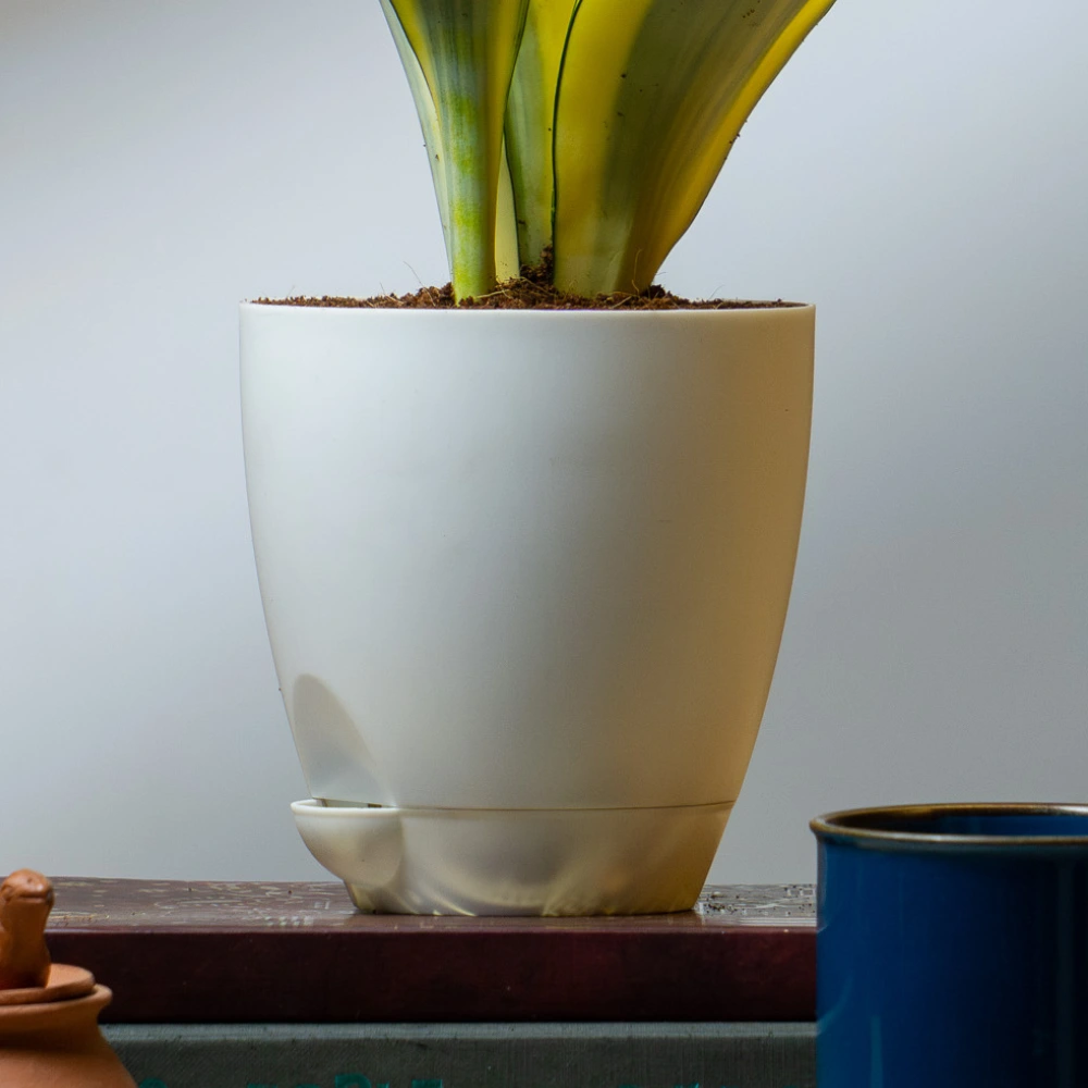 product-gallery