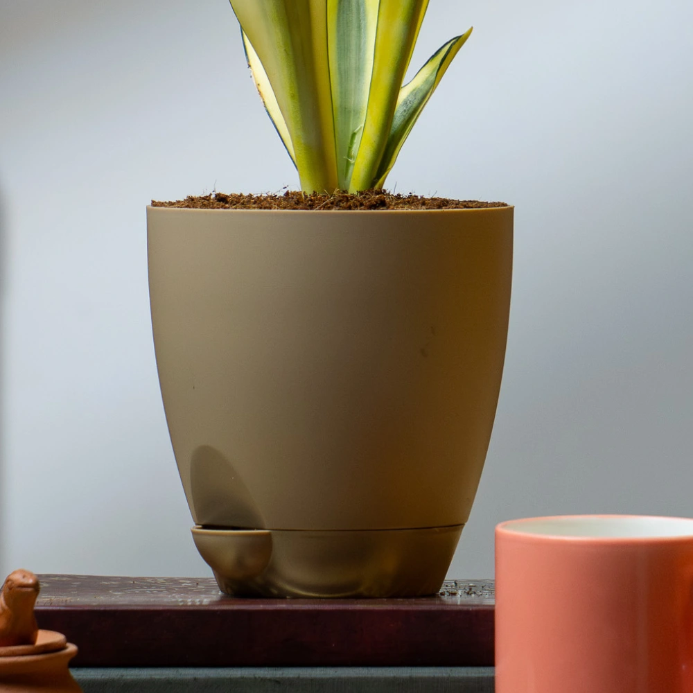 product-gallery