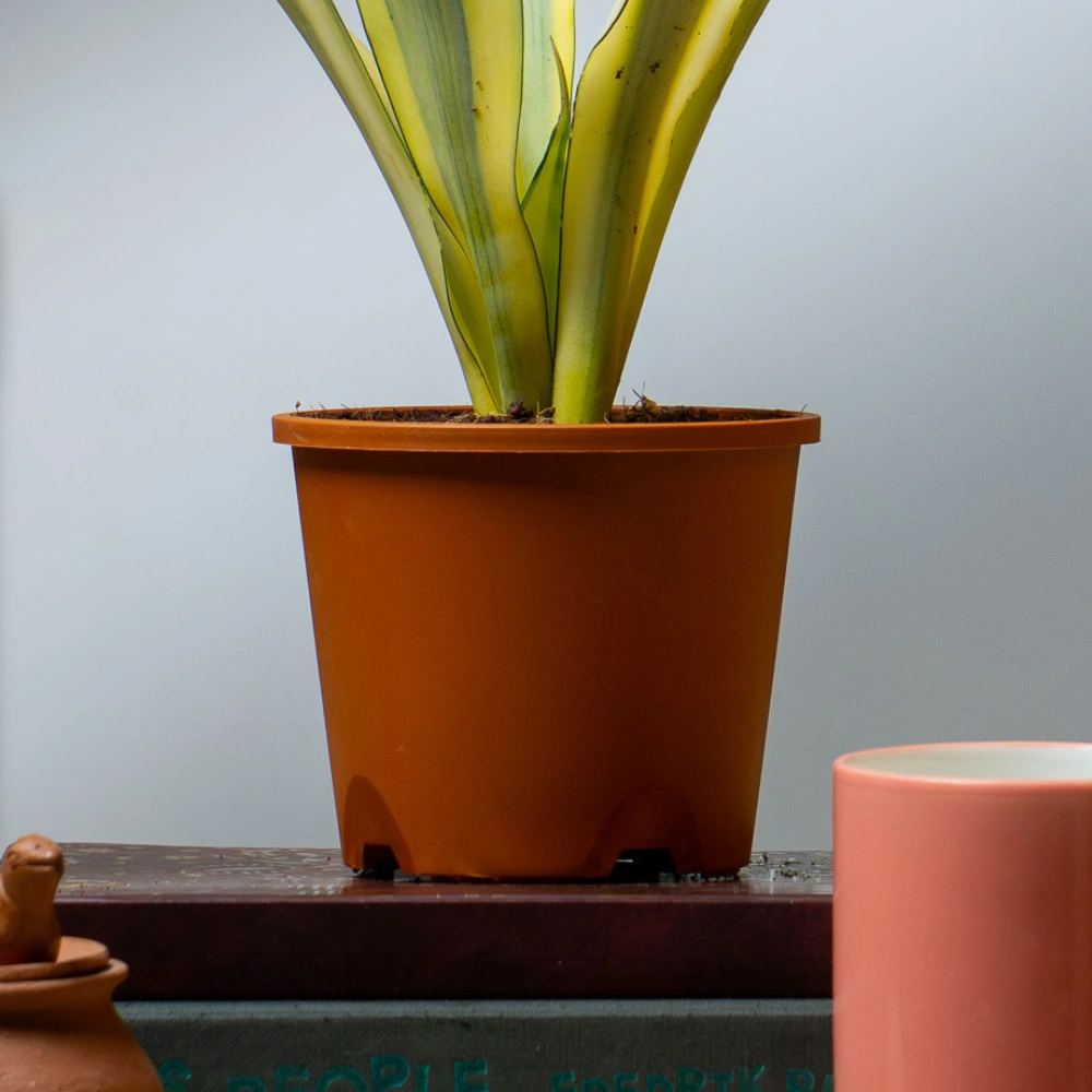 product-gallery