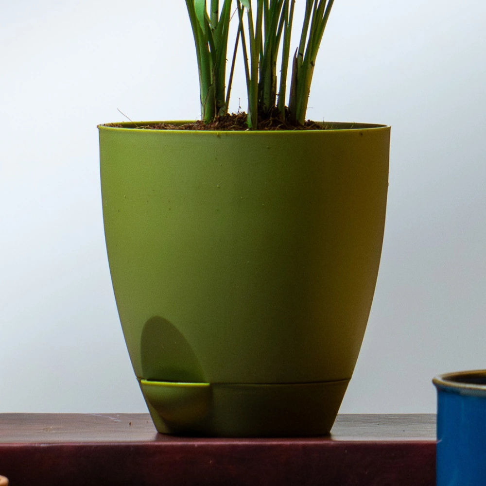 product-gallery