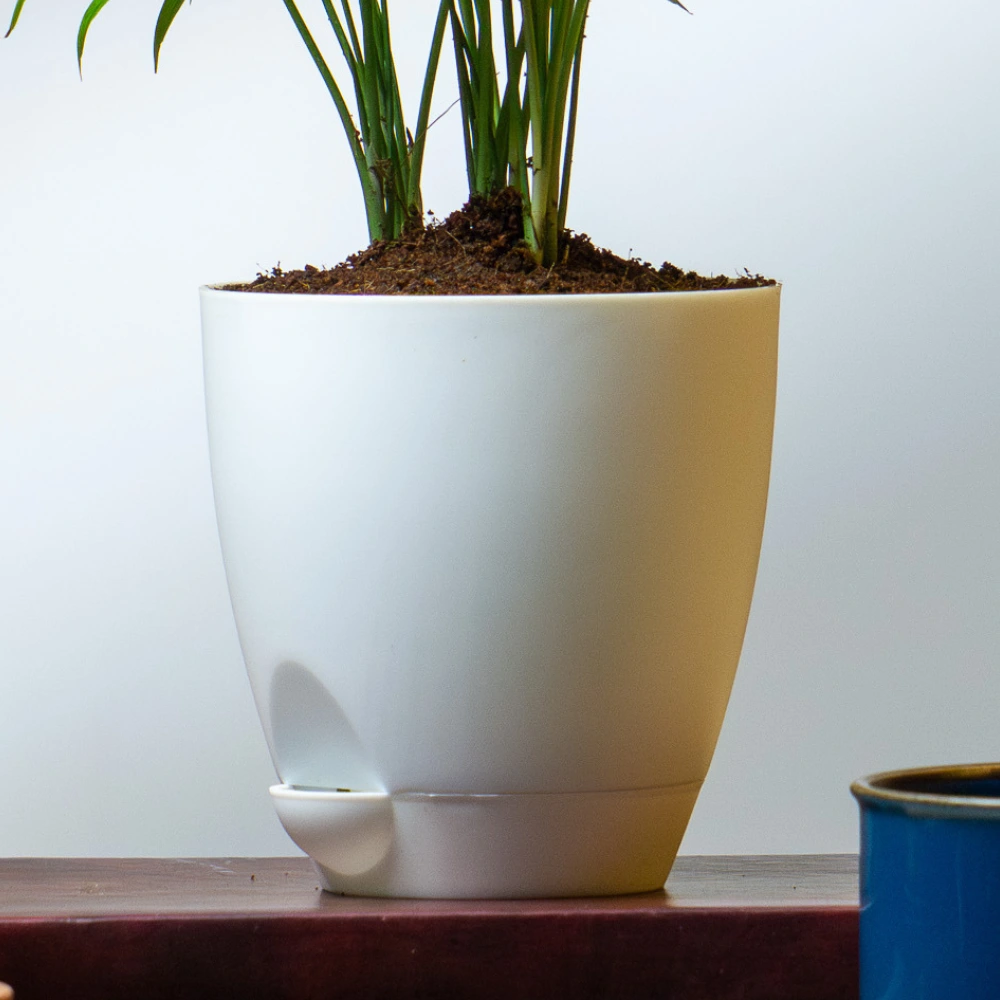 product-gallery
