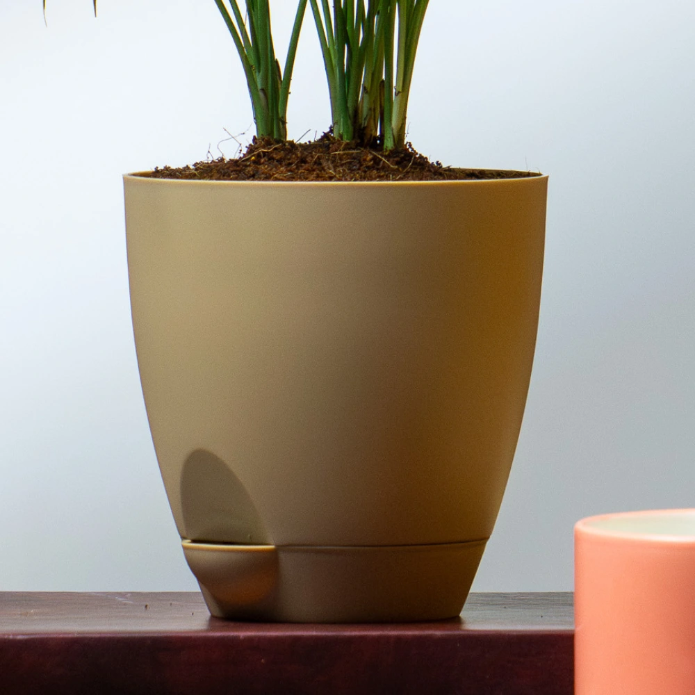 product-gallery