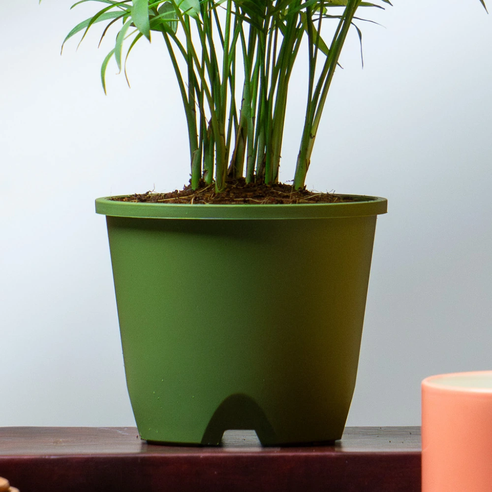 product-gallery