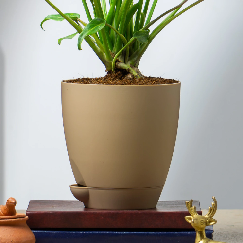 product-gallery
