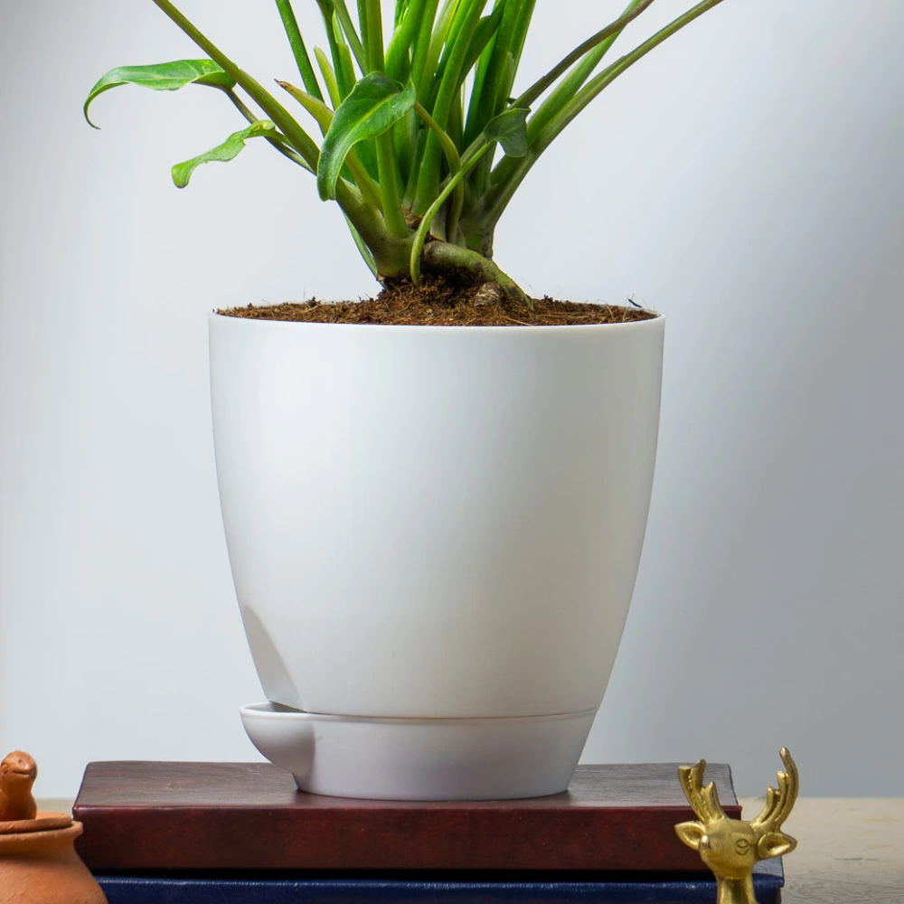 product-gallery