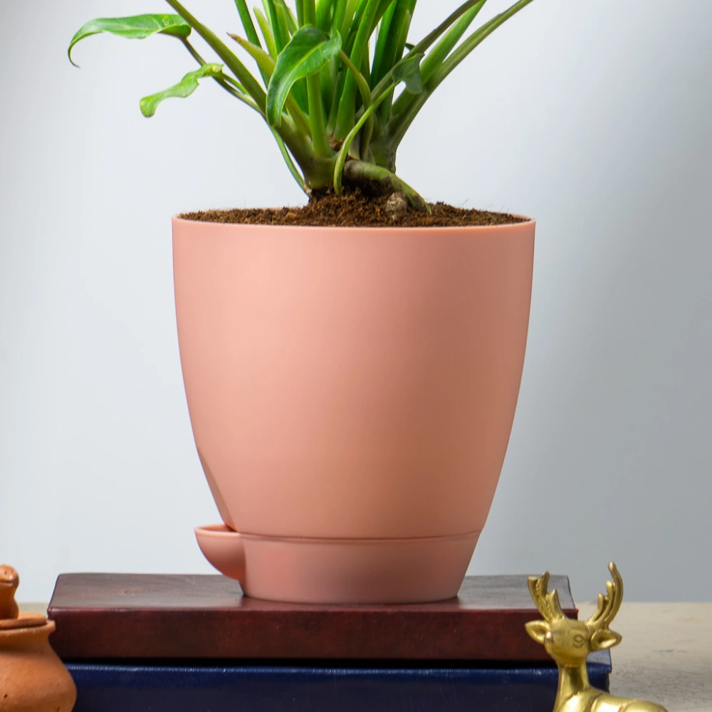 product-gallery