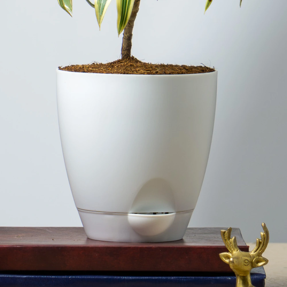 product-gallery