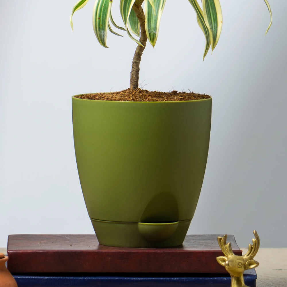 product-gallery