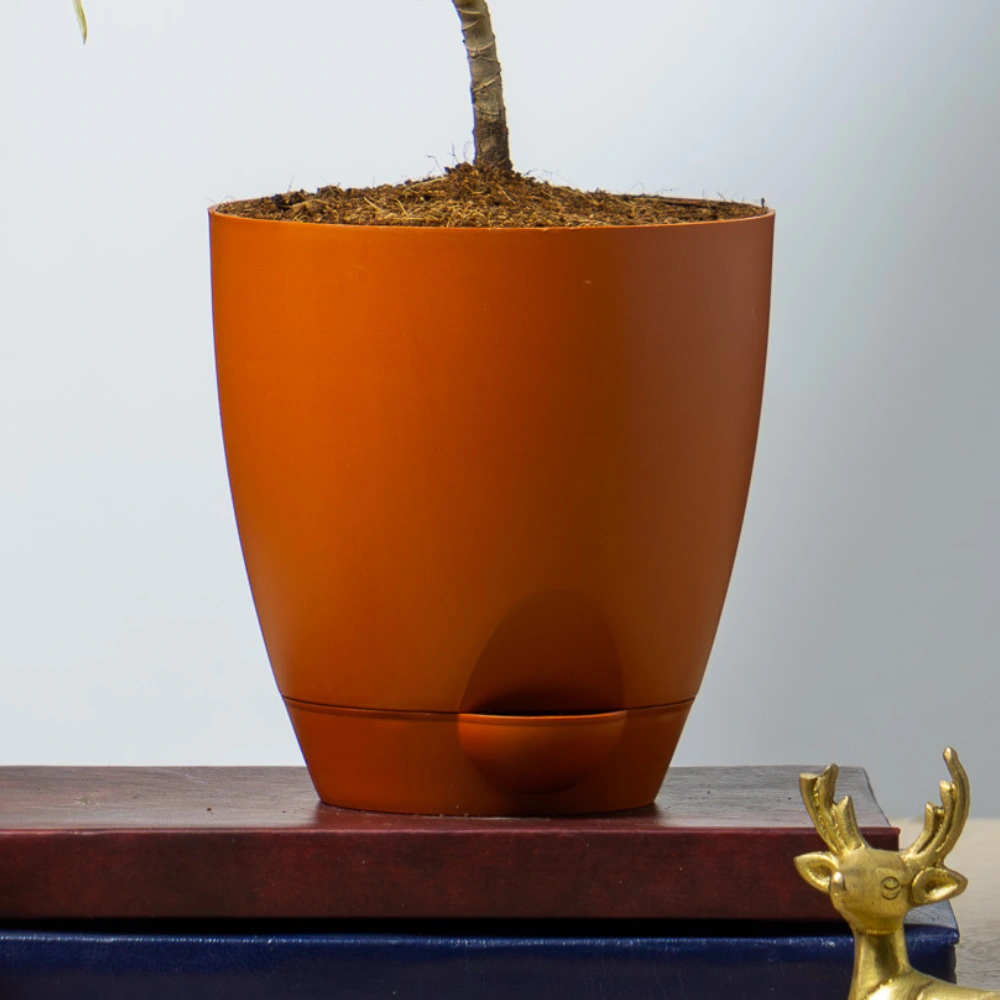 product-gallery