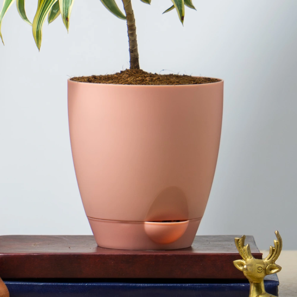 product-gallery