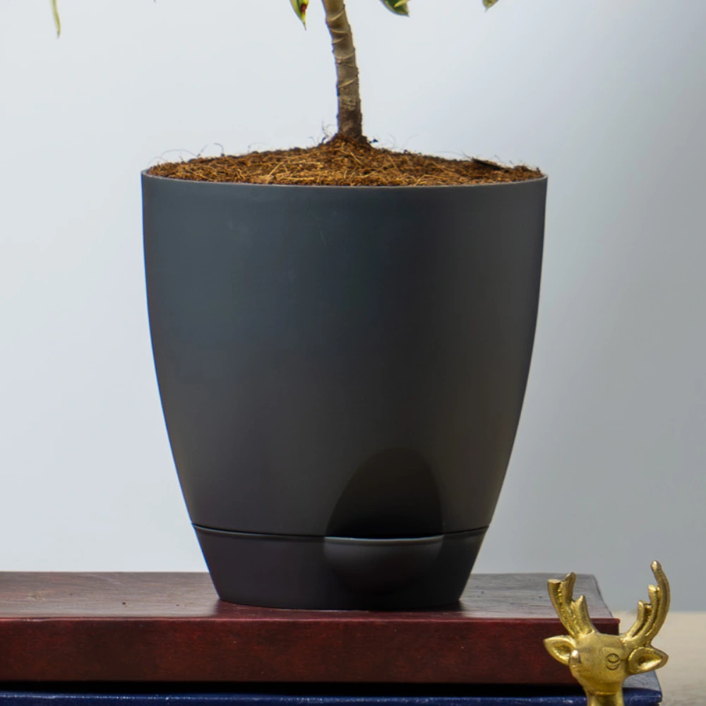 product-gallery