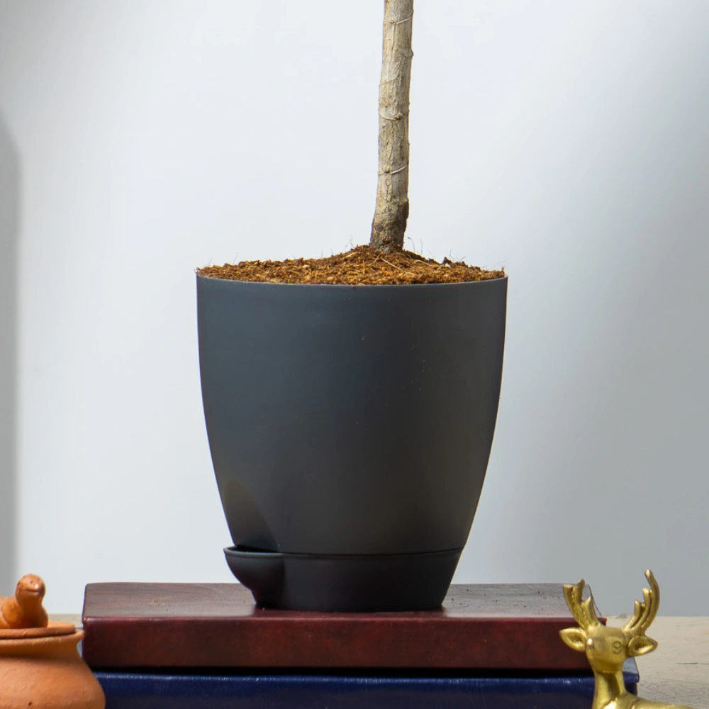product-gallery