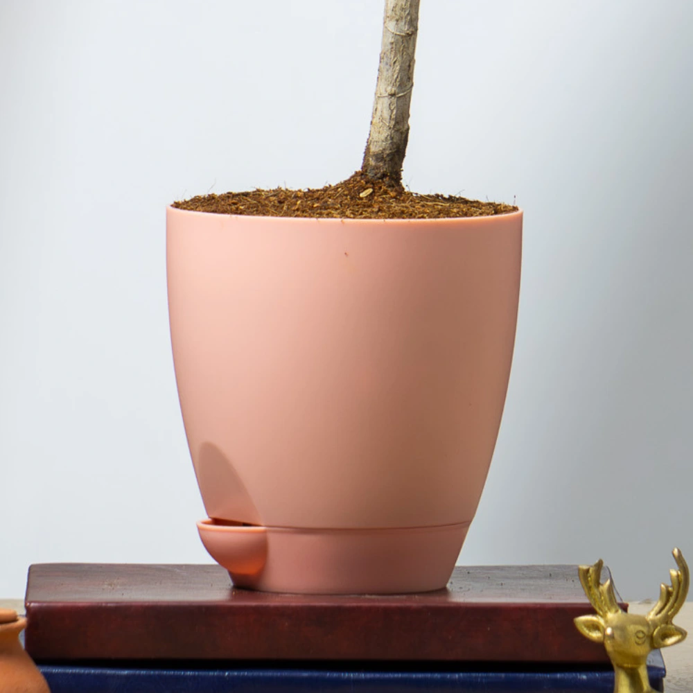 product-gallery