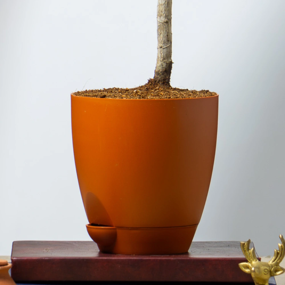 product-gallery