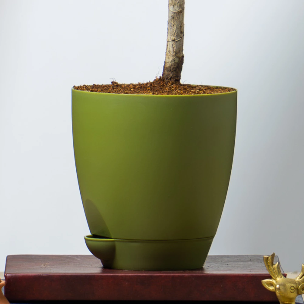product-gallery