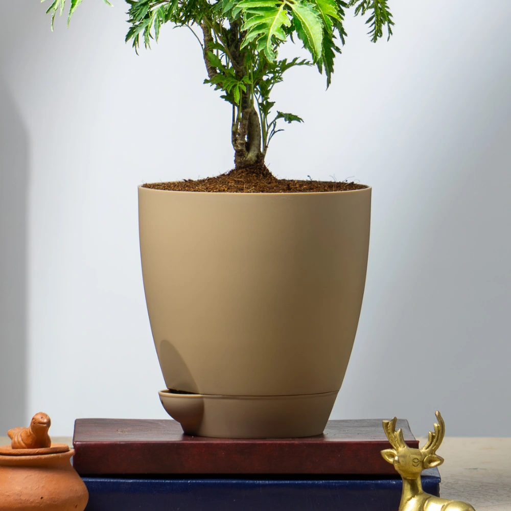product-gallery