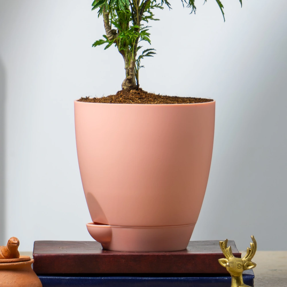 product-gallery