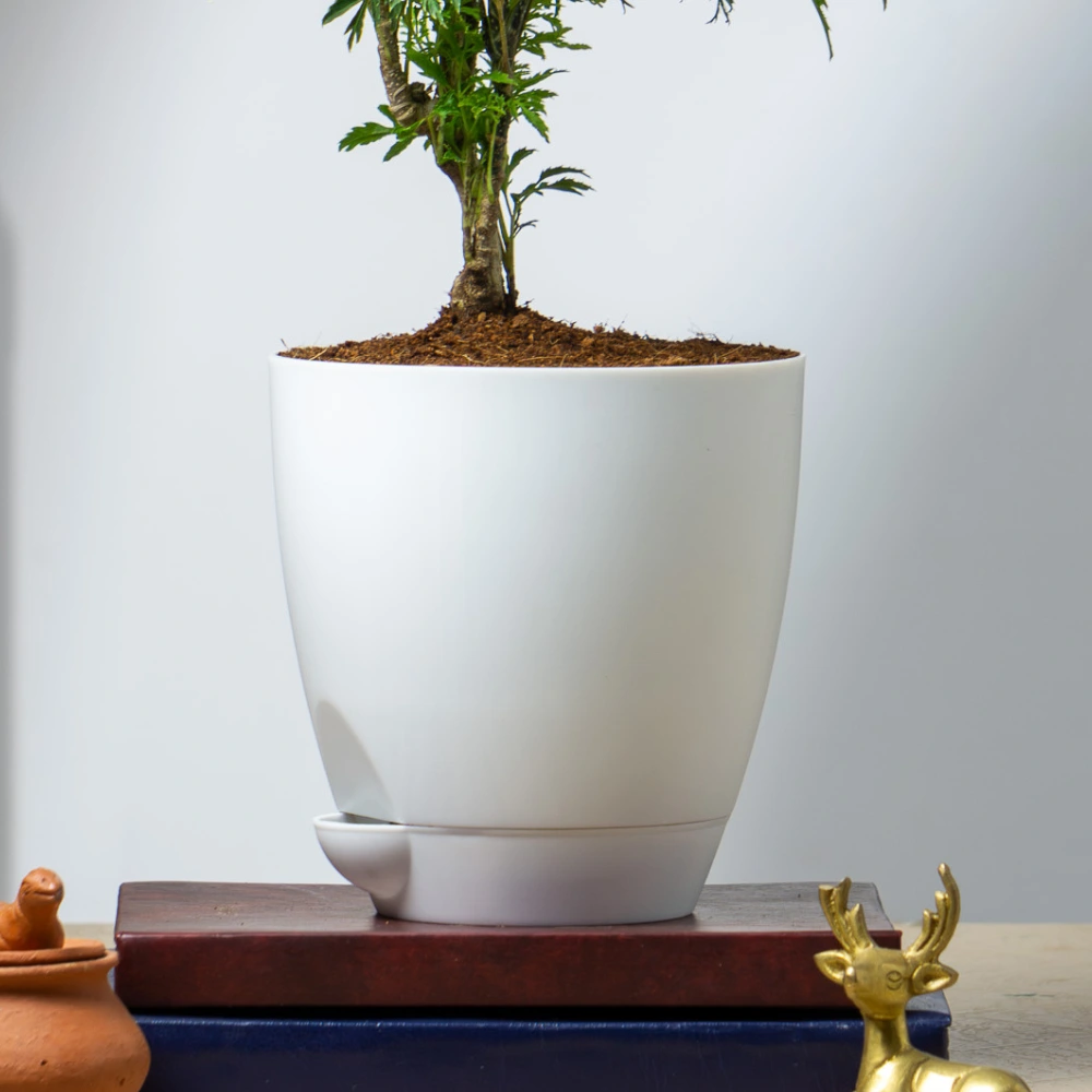 product-gallery