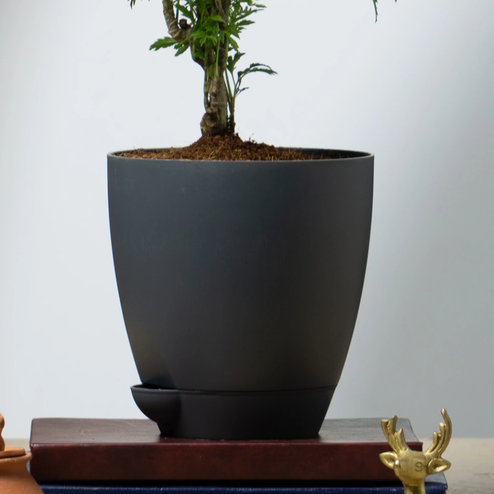 product-gallery