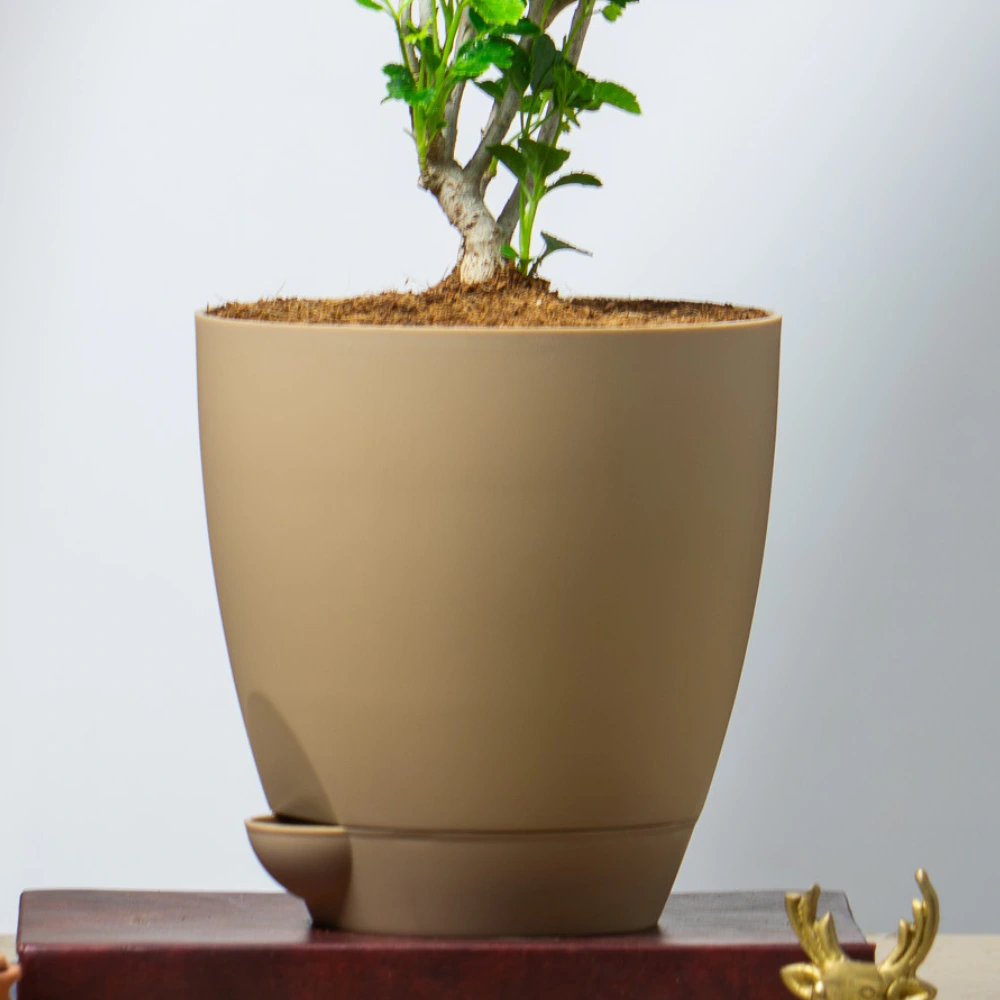 product-gallery