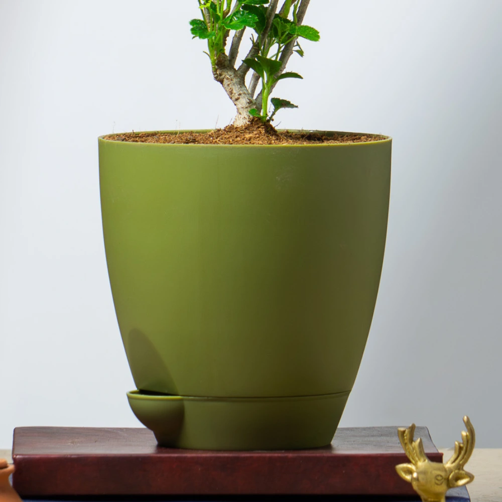 product-gallery