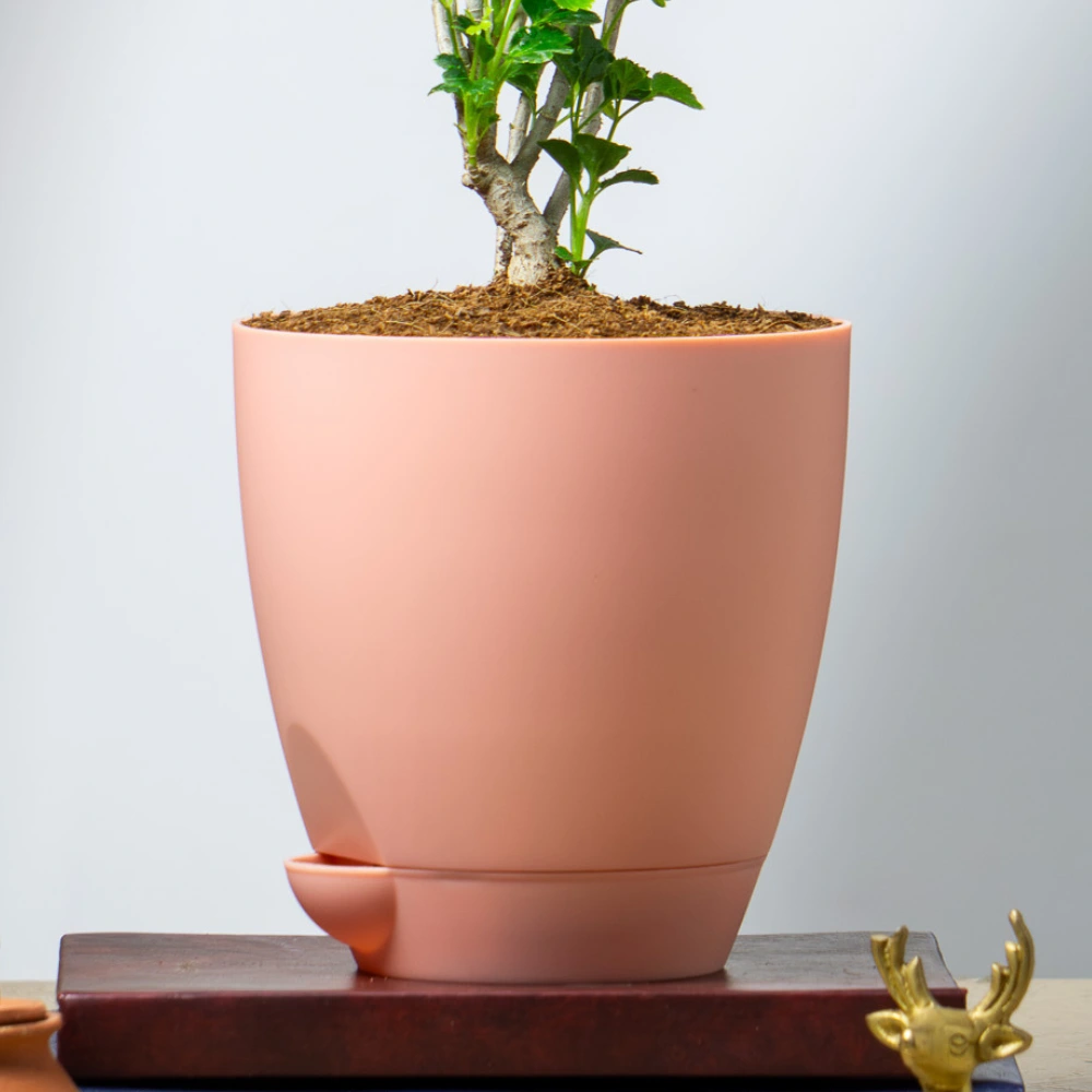 product-gallery