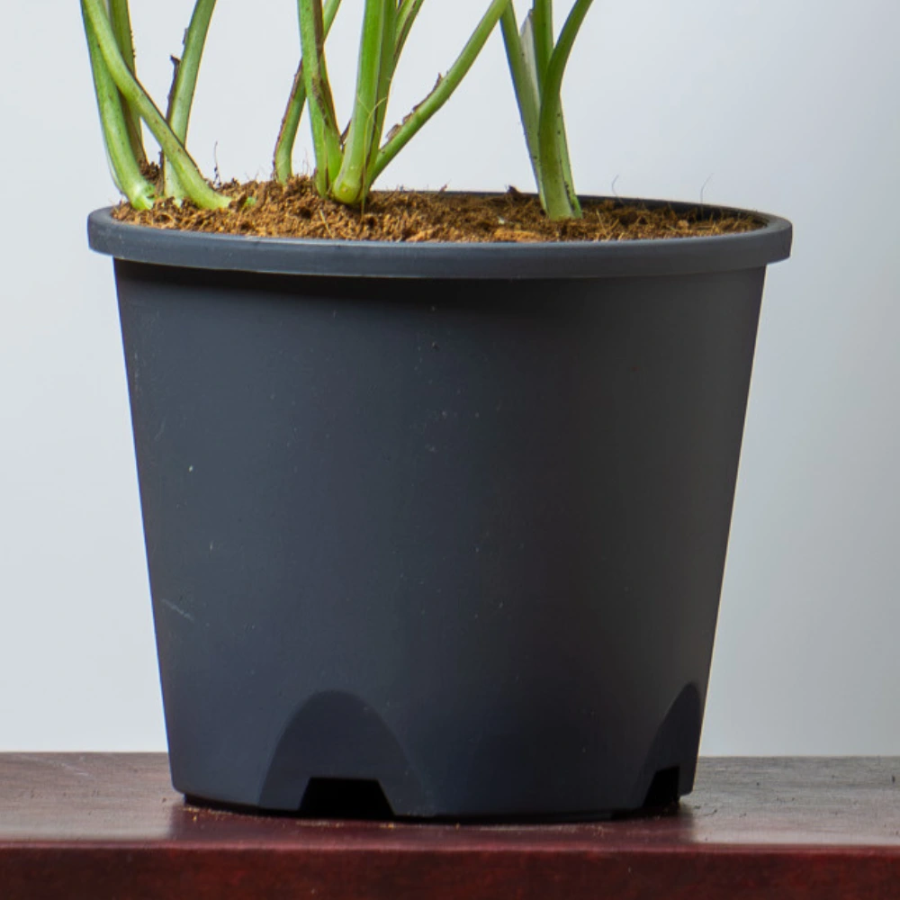 product-gallery