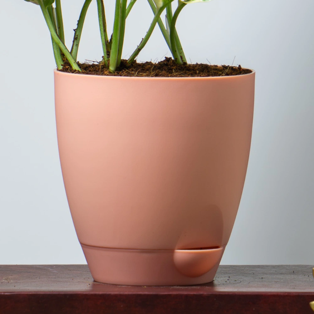 product-gallery