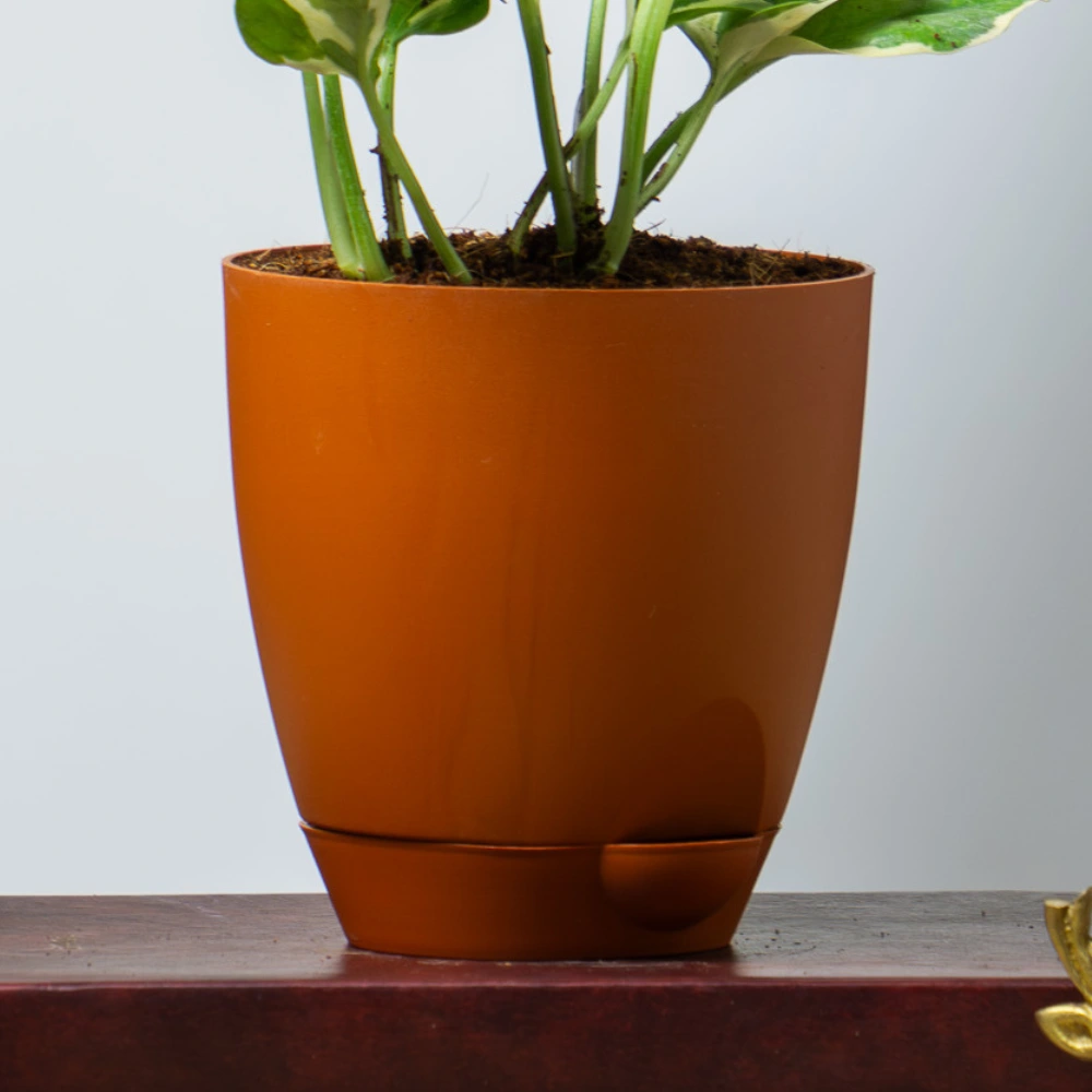 product-gallery