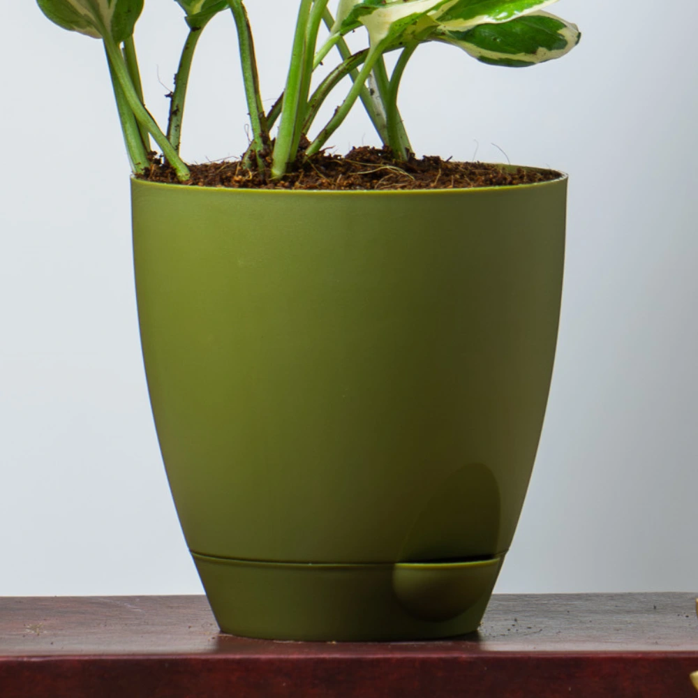 product-gallery